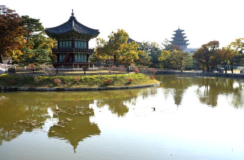 경50(작).jpg