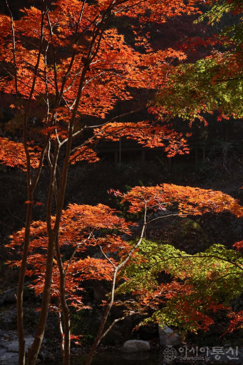 강187(작).jpg