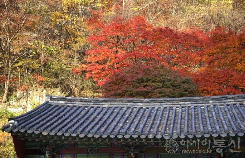 강72.jpg