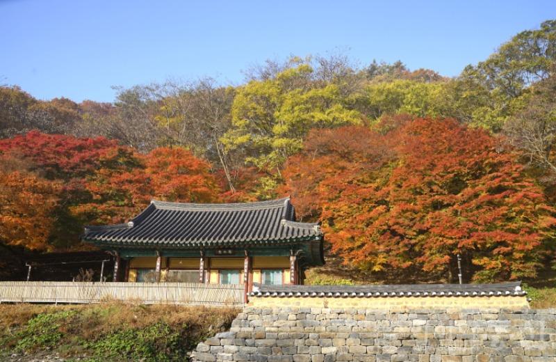 강80.jpg
