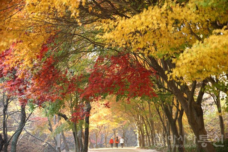 강105(작).jpg