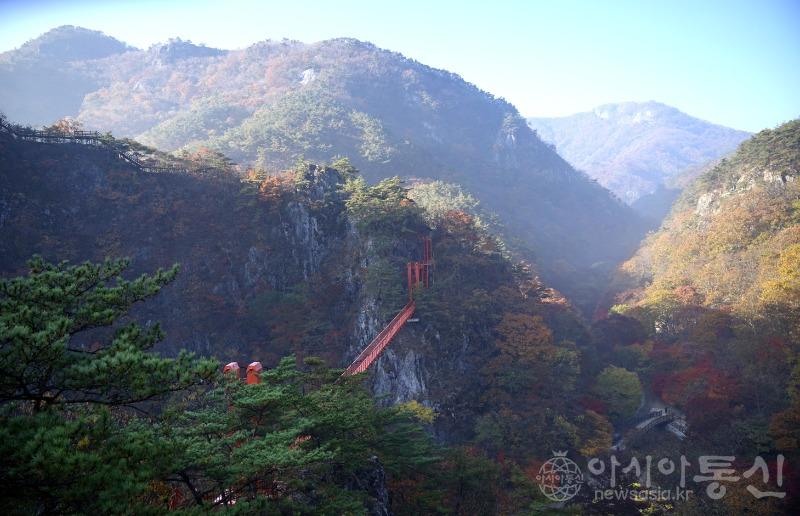 강96(작).jpg