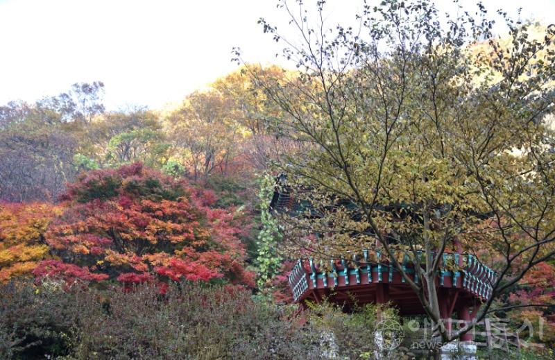 강120.jpg