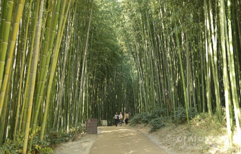 죽6.jpg