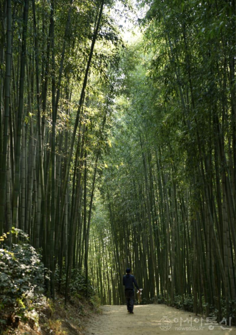 죽13.jpg