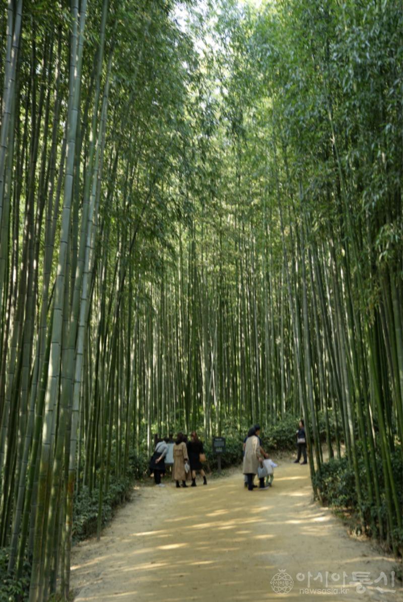 죽15.jpg