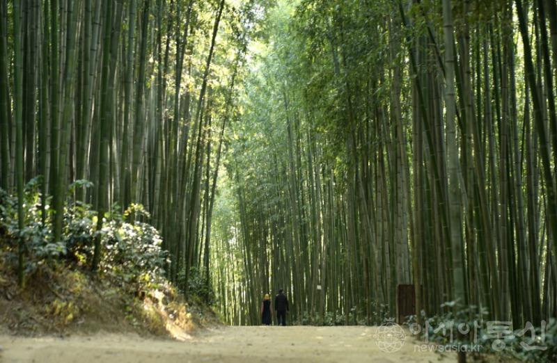 죽9.jpg