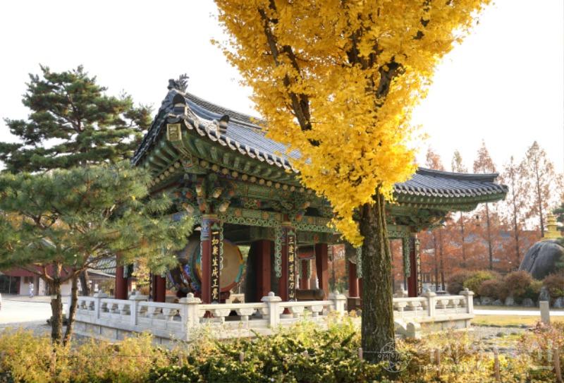봉6.jpg