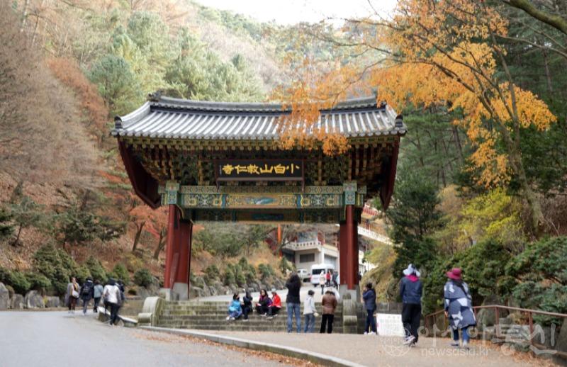 구2.jpg