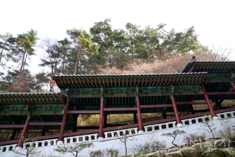 구10.jpg