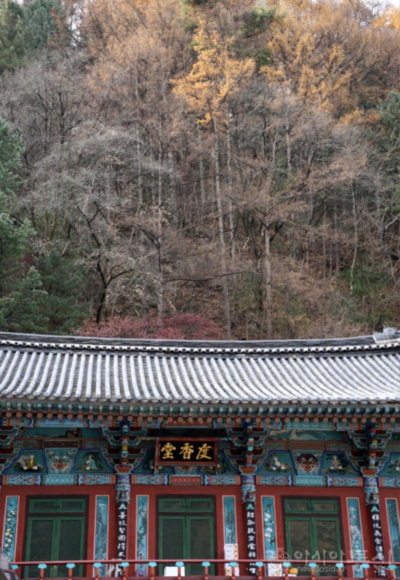 구16.jpg