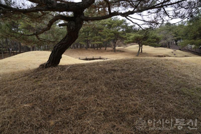 고43.jpg