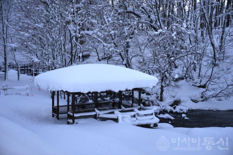북49.jpg
