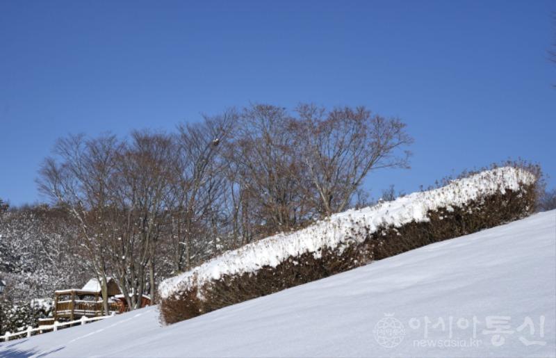 산11.jpg