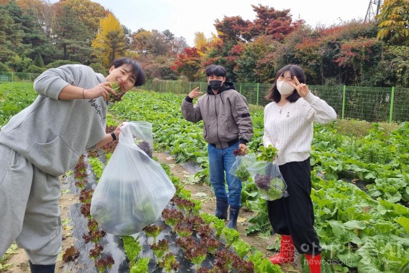 사본 -[사진3] 삼육대 학생들이 농작물을 직접 재배하고 있다.jpg
