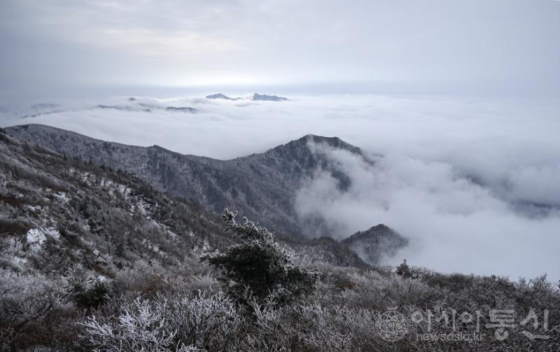 덕38(작).jpg
