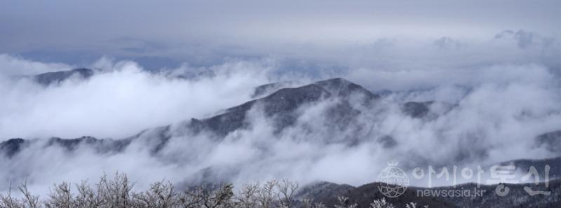 덕79(작)1.jpg