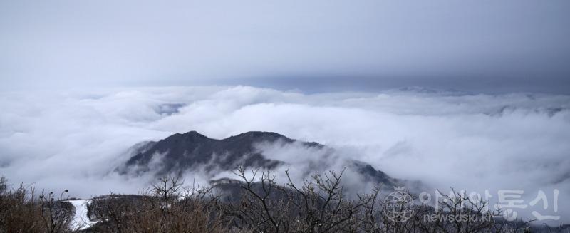 덕81(작)1.jpg