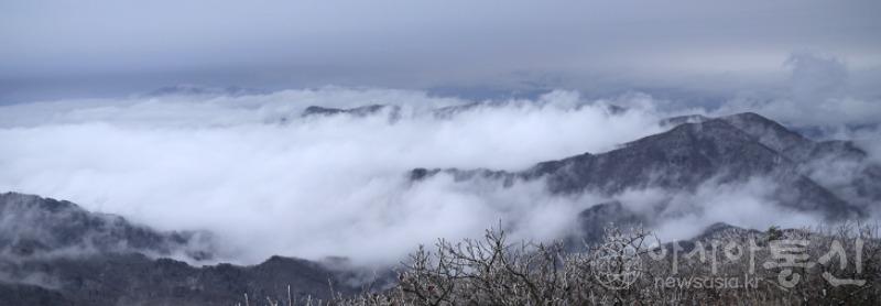 덕94(작)1.jpg