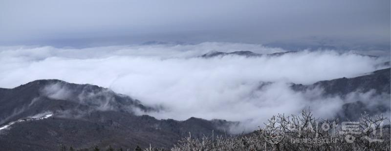 덕99(작)1.jpg
