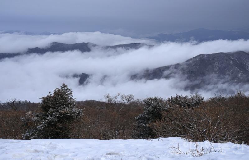중88(작).jpg
