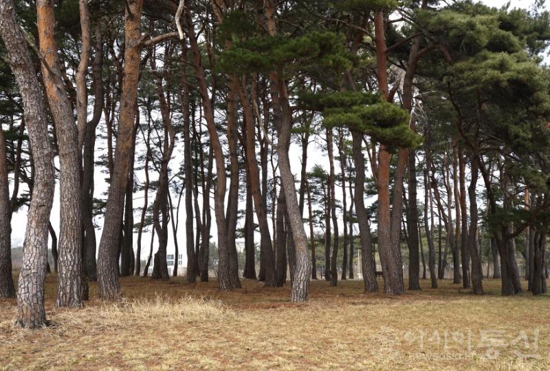 송11.jpg