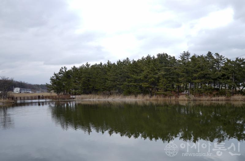 송1.jpg