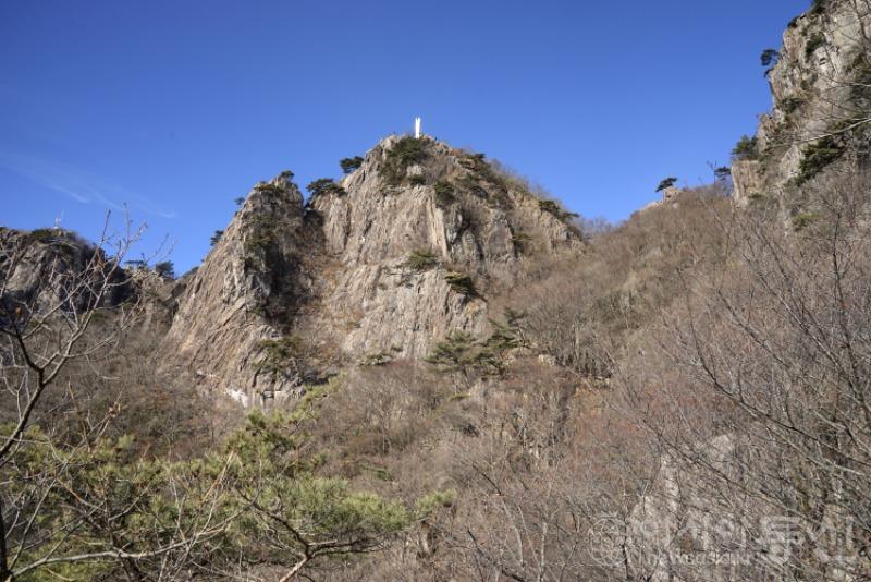 대115.jpg