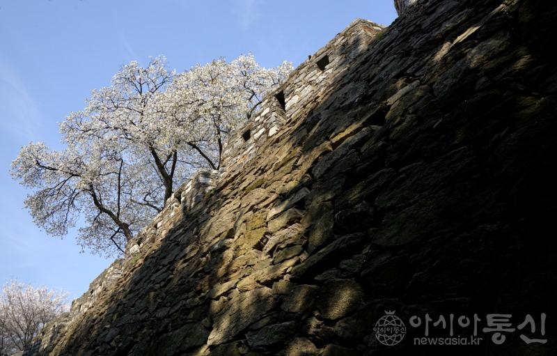 둘78(작).jpg