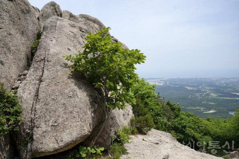 울8.jpg