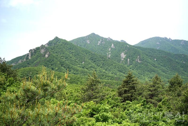 울10.jpg