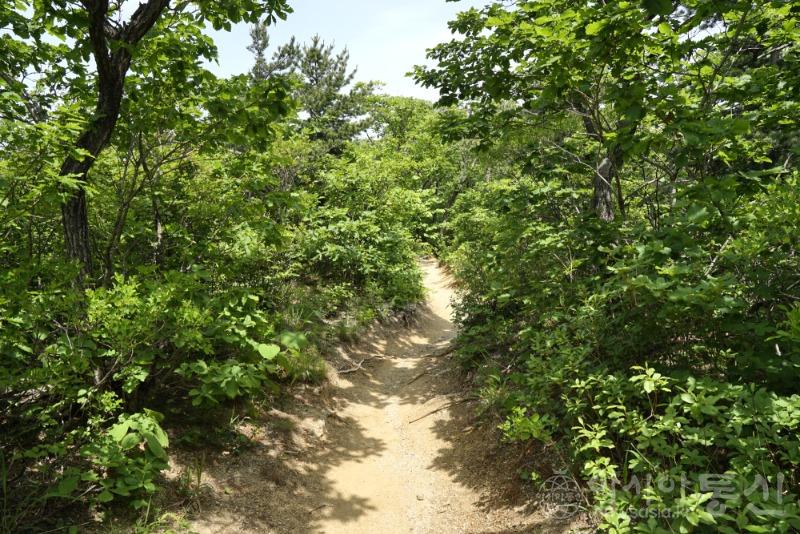 울73.jpg