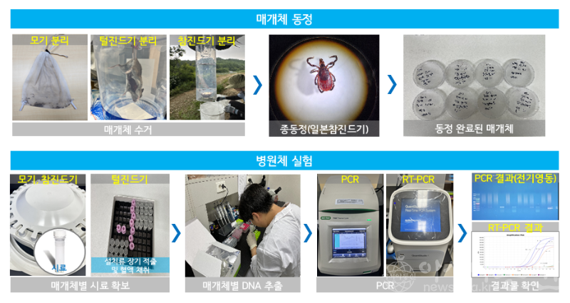 사본 -[이미지] 조사 내용 및 방법.png