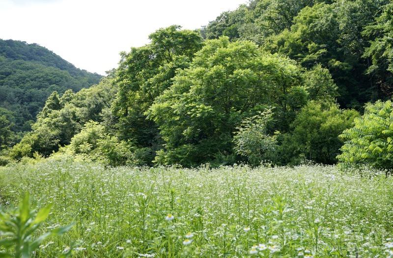 비13(작).jpg
