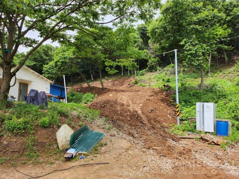 산림훼손.jpg