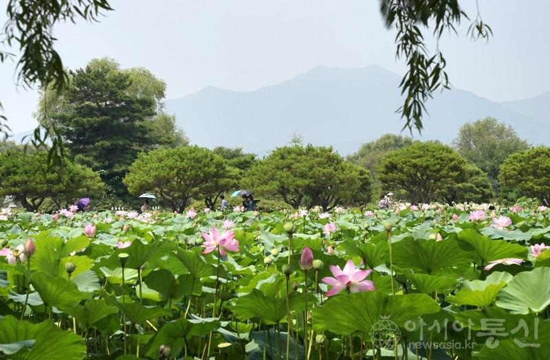 세71(작).jpg