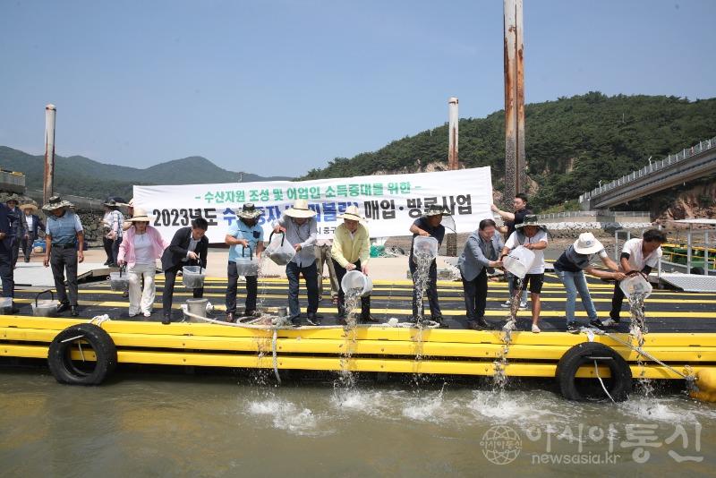 조피볼락1.JPG