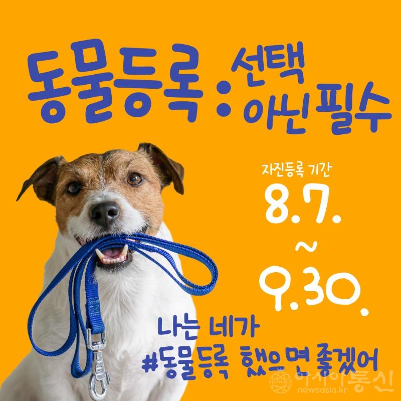 0804 계양구 동물등록 자진신고 홍보물.jpg