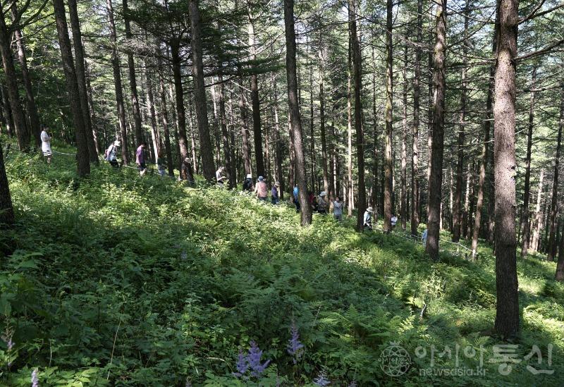 만34.jpg