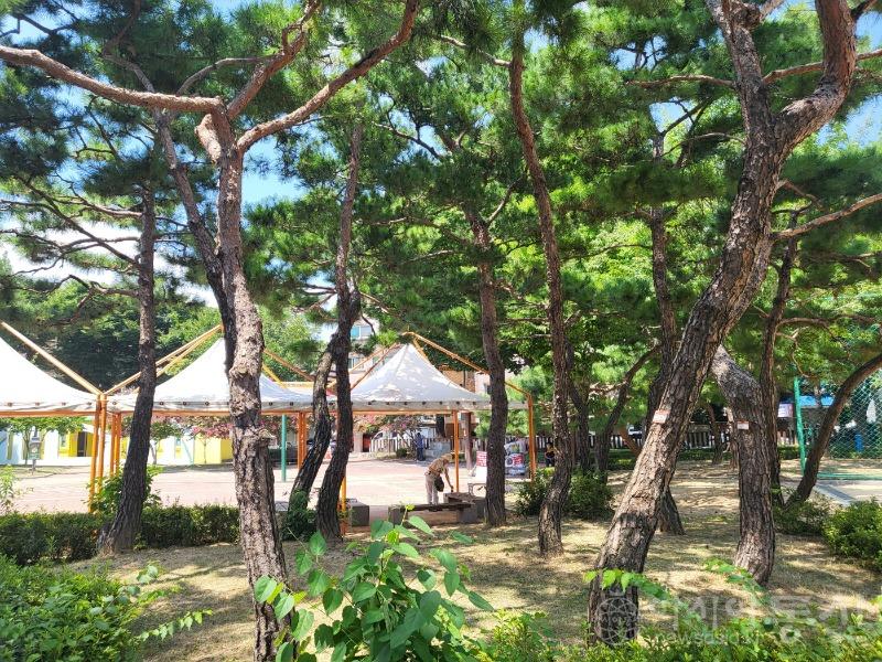 KakaoTalk_20230807_132446751_06.jpg