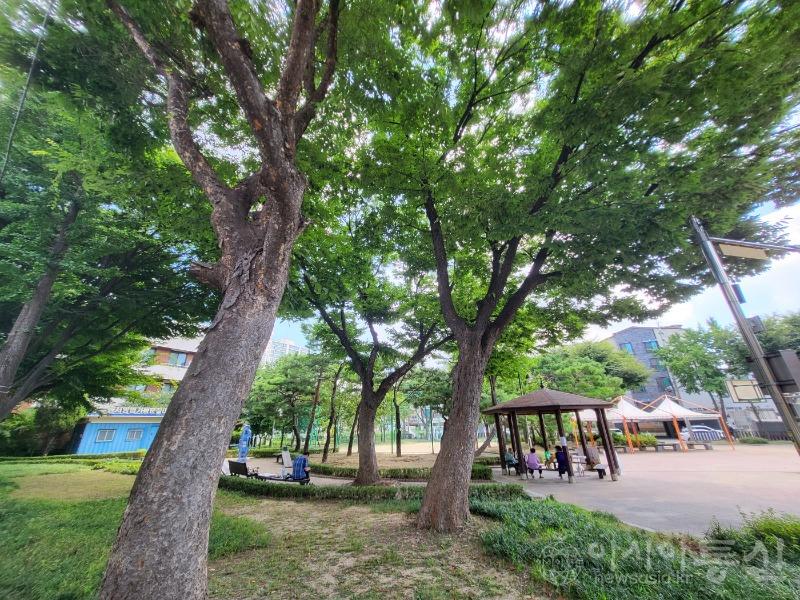 KakaoTalk_20230807_132446751.jpg