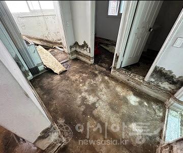 (1)남동구_반지하 세대 거주환경 실태 전수조사 완료(곰팡이 발생).jpg