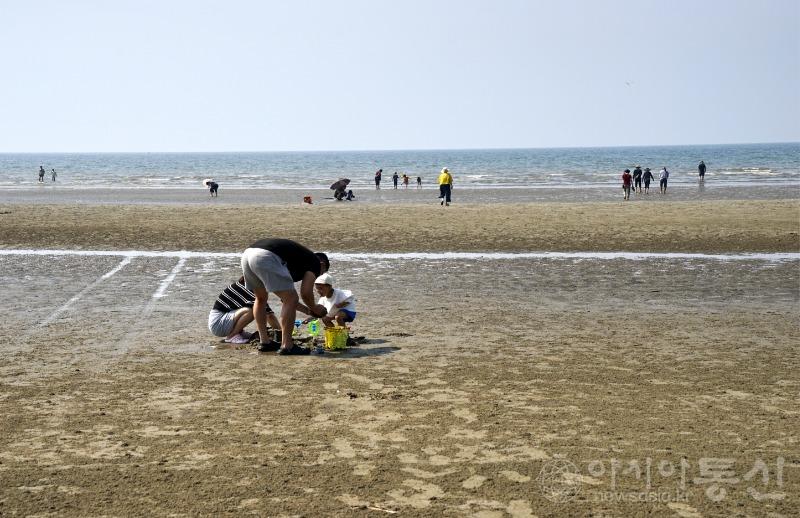 춘17.jpg