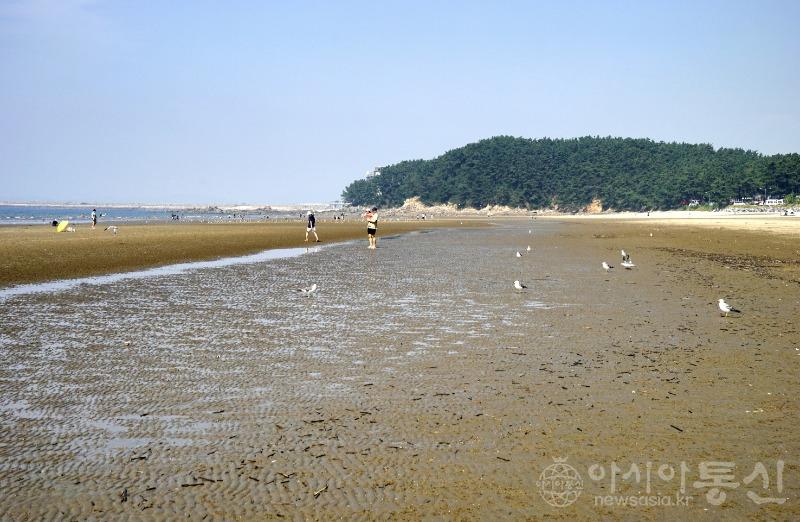 춘18.jpg