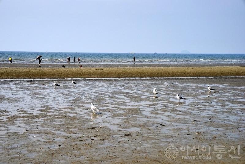 춘23.jpg
