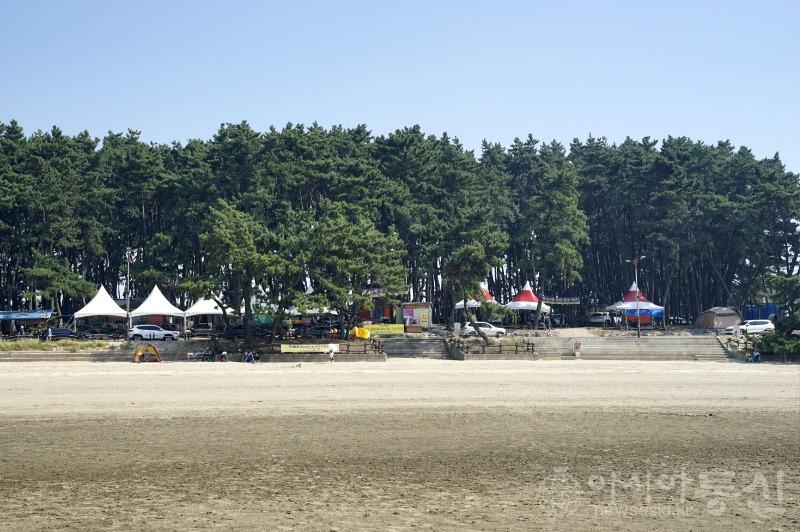 춘38.jpg