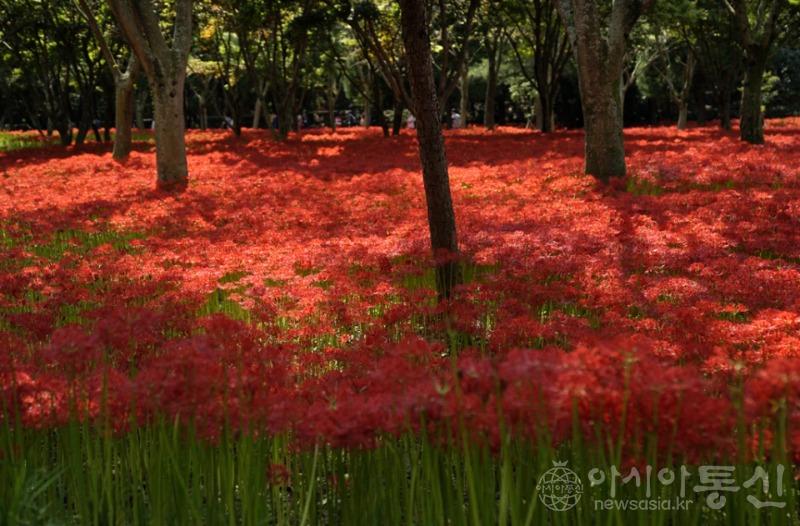 27513_44599_5310(보도).jpg