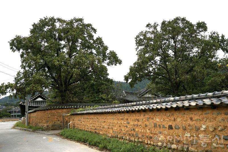 돌11.jpg