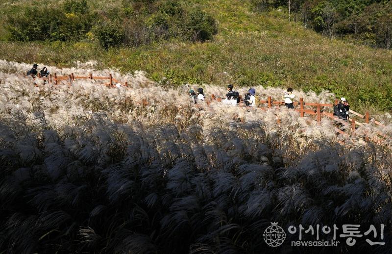 명12.jpg