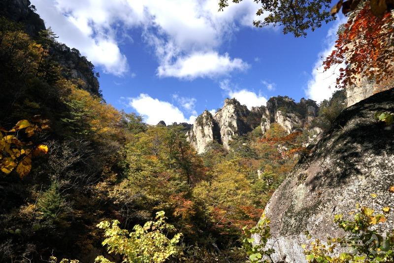 주39.jpg